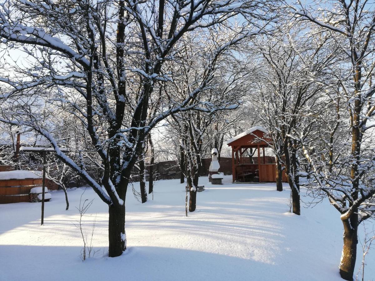 Drevenica Silvia Villa Liptovský Mikuláš Екстериор снимка